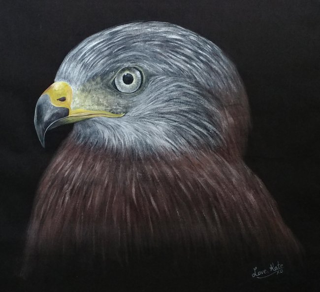 Majestic-Red-Kite