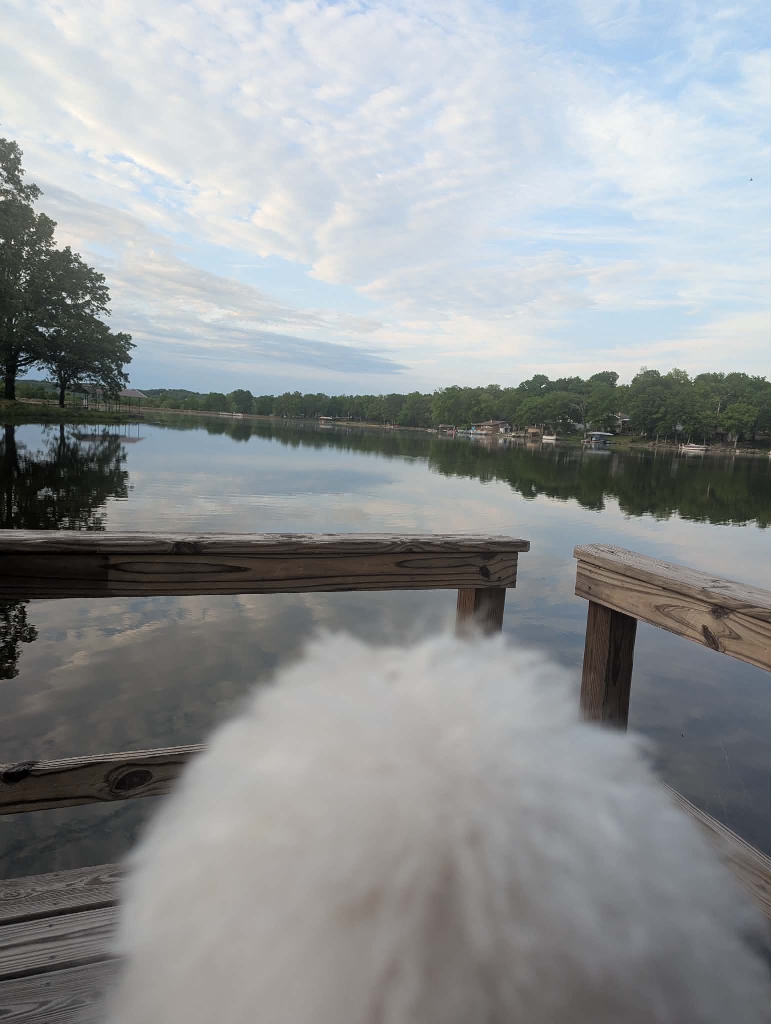 Majyk AngelFeather looks out across a peaceful lake from the dock, inviting visitors to pause, breathe, and reflect.